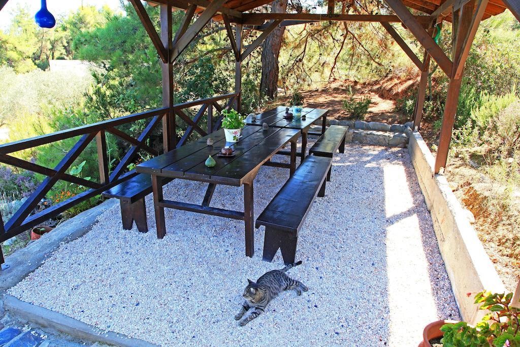 Dionysus Apartments & Suites อิเอริสโซส ภายนอก รูปภาพ